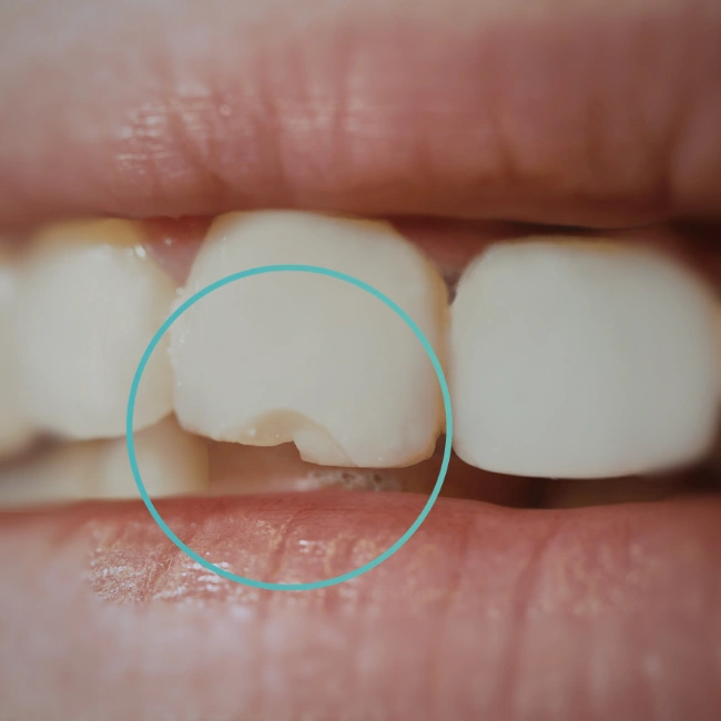 Safety, Maintenance & Suitability